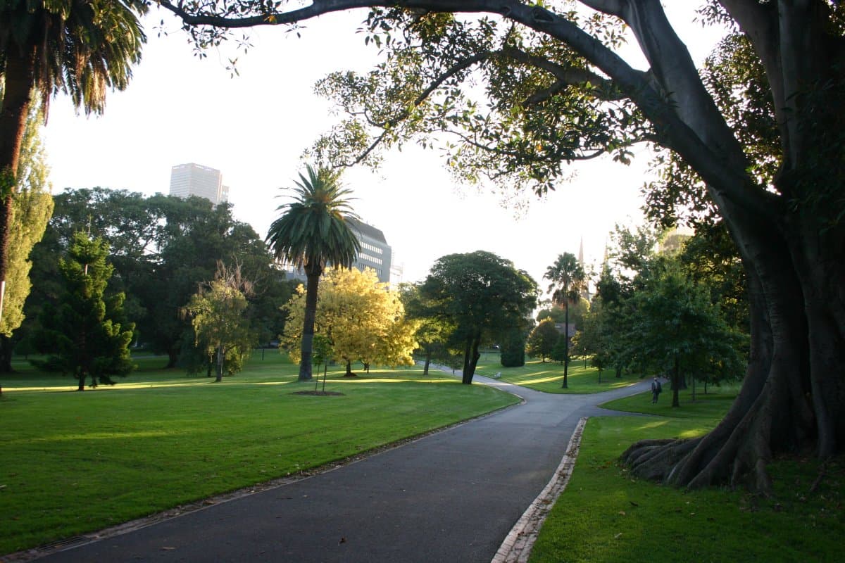Elm avenues and dappled light in Fitzroy Gardens, Melbourne, a public garden where a quiet child can watch before joining in.