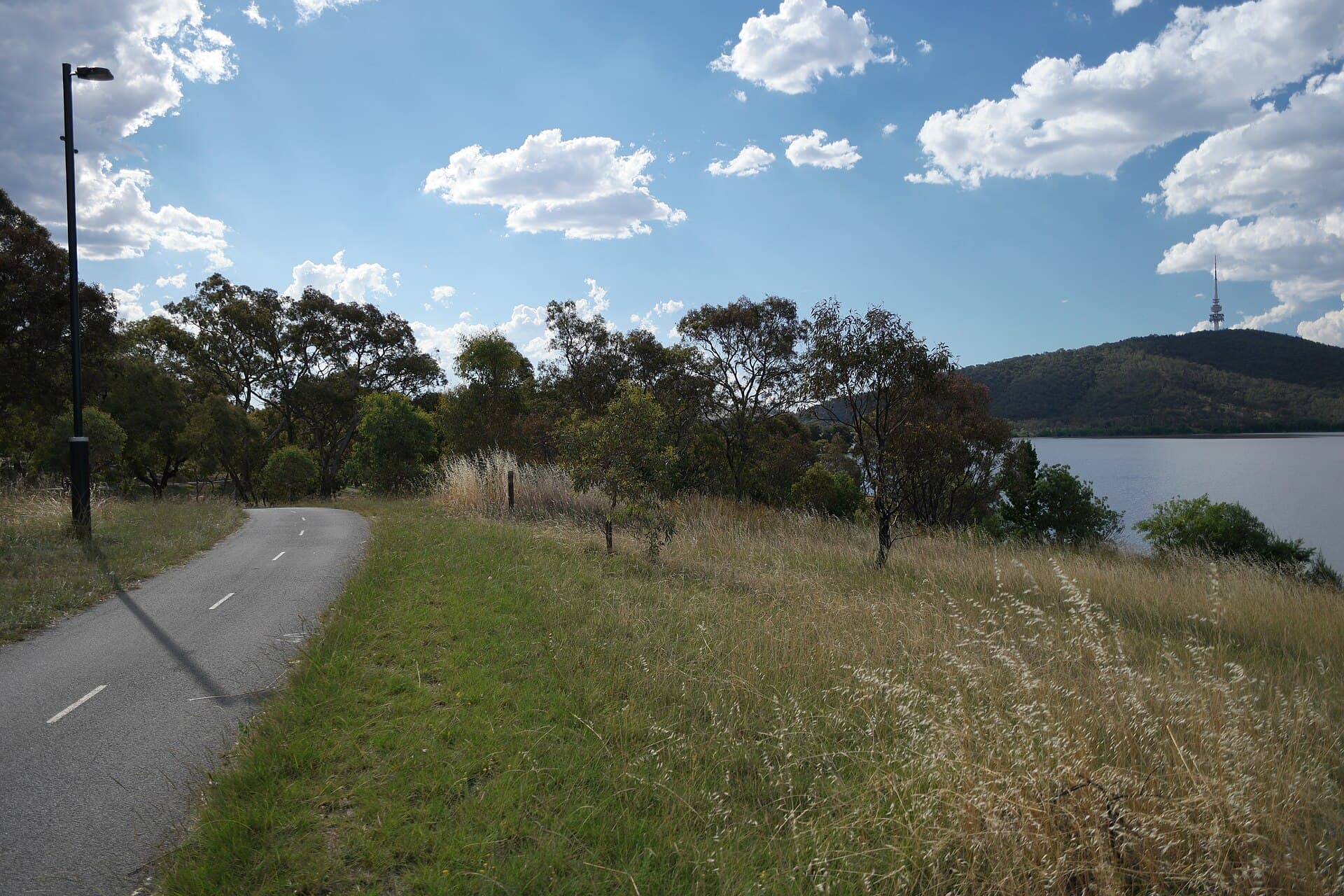 A quiet footpath beside Lake Burley Griffin, the kind of pale late light that makes the dark feel far away.