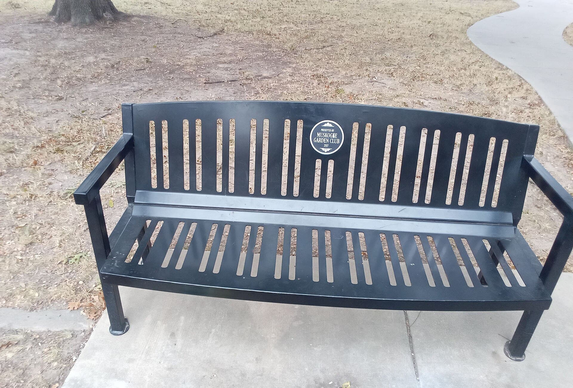 An empty timber park bench under trees, the kind of quiet spot a parent finds after a hard preschool goodbye.